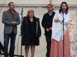 Bicentenario 2011