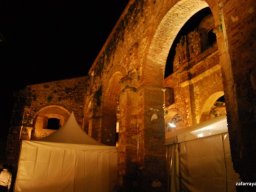 Bicentenario 2011